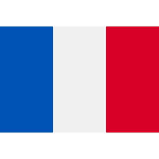 Evolved Sound Flag - France